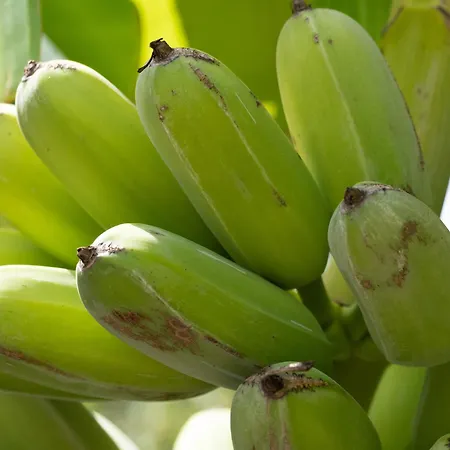 Hébergement de vacances Dora's House