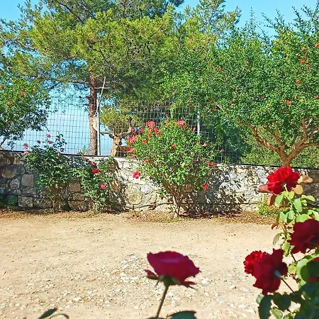 Hébergement de vacances Dora's House Istrios