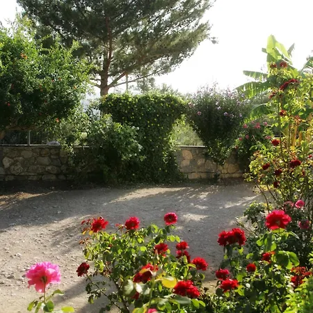 Dora's House Istrios