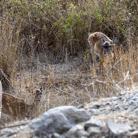 Casa vacanze Dora's House *