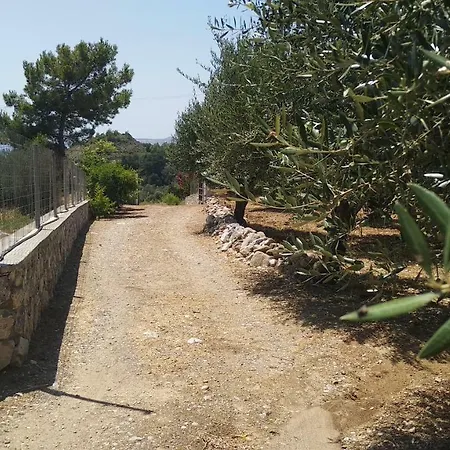 Dora's House Casa vacanze