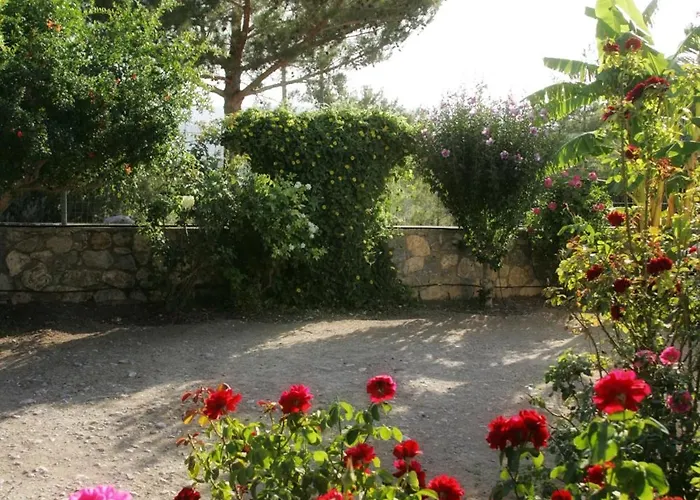 Dora's House Istrios