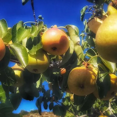 Prázdninový dům Dora's House