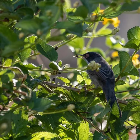 Dora's House Prázdninový dům *