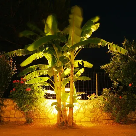Dora's House