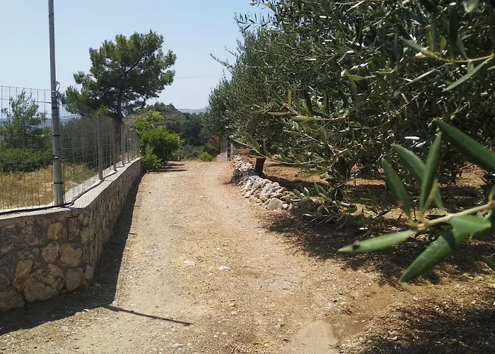 Dora's House בית נופש